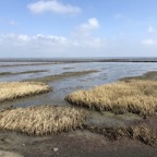 IMG_1615.jpeg