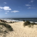 IMG_1829.jpeg